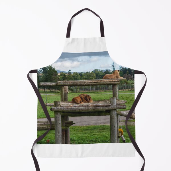 Item preview, Lion and lioness designed and sold by RJW Images.