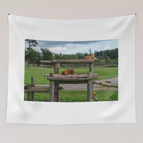 Item preview, Lion and lioness designed and sold by RJW Images.