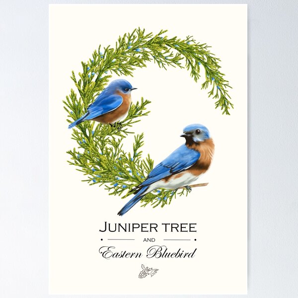 Item preview, Eastern Bluebird on Juniper tree designed and sold by Art_By_Wing.