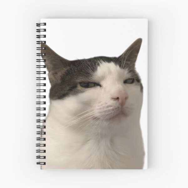 Item preview, Judgmental Cat – Unimpressed Stare Meme designed and sold by Dyan4.