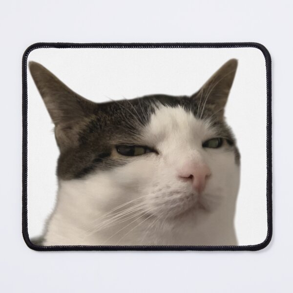 Item preview, Judgmental Cat – Unimpressed Stare Meme designed and sold by Dyan4.