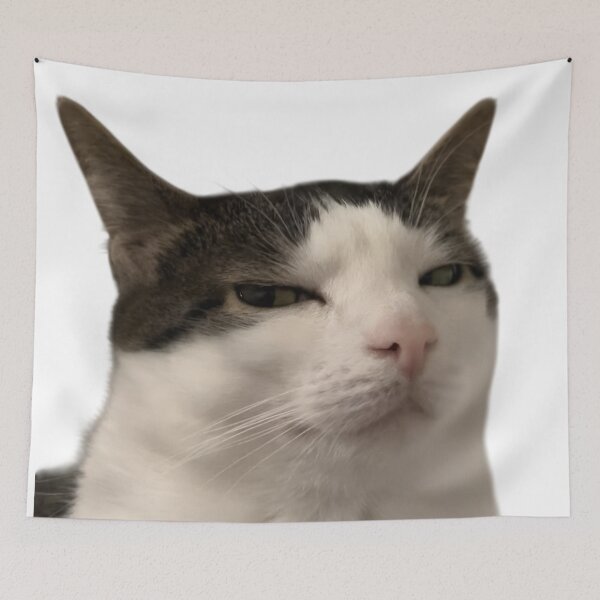 Item preview, Judgmental Cat – Unimpressed Stare Meme designed and sold by Dyan4.