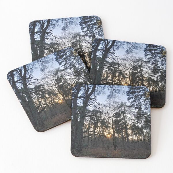 Item preview, Chilly shire designed and sold by 66Pepperwood.