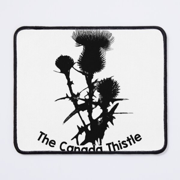 Item preview, The Canada Thistle Silhouette Digital Photography designed and sold by Licorice Moon.