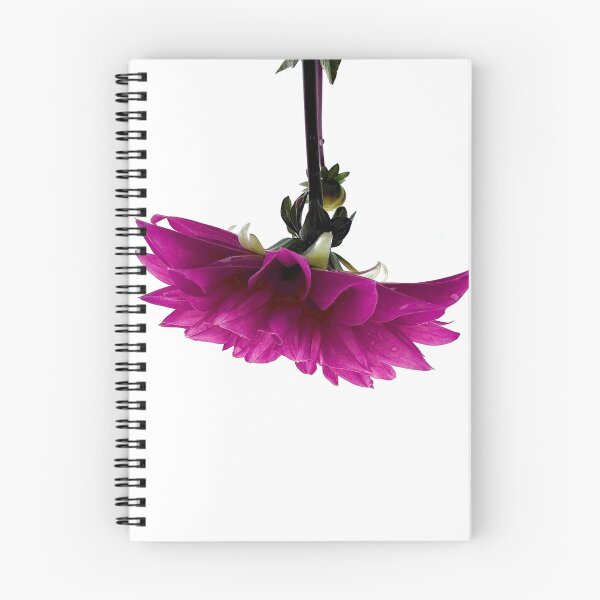 Item preview, Upside Down Fuchsia Dahlia Floral Photography designed and sold by Licorice Moon.