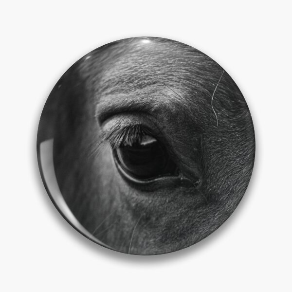Item preview, The horse's gaze - black and white designed and sold by Léa Lefebvre Photography.