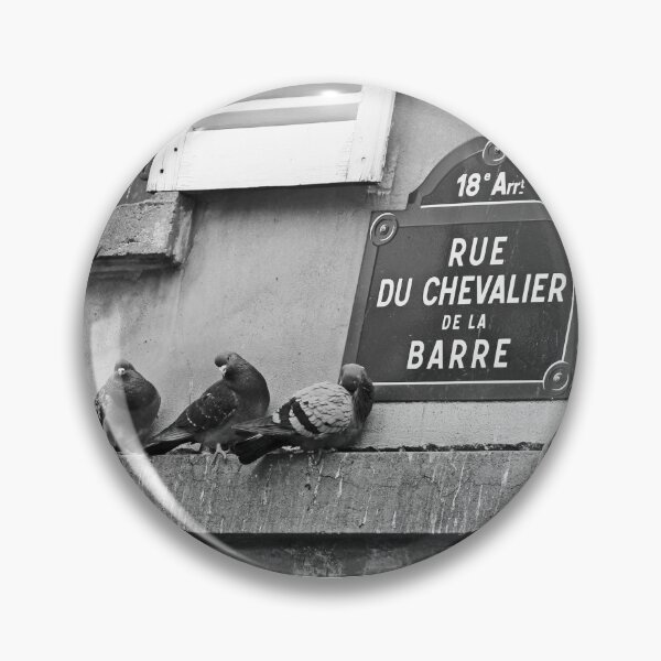 Item preview, Pigeons in Paris designed and sold by JournalOfTales.