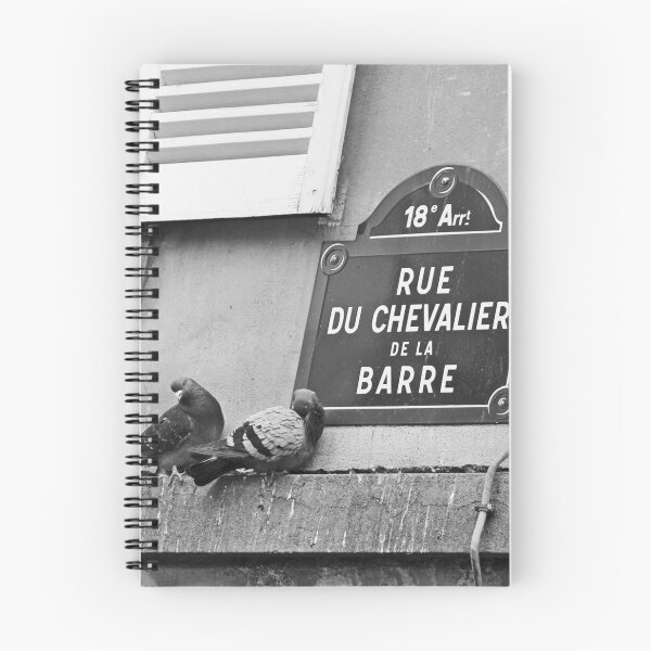 Item preview, Pigeons in Paris designed and sold by JournalOfTales.