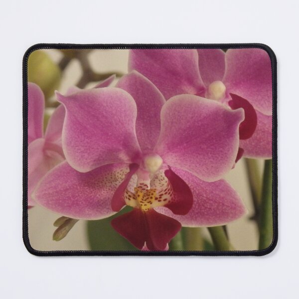 Item preview, Pink purple orchid flower designed and sold by Betulek.