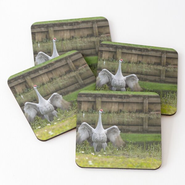 Item preview, The powerful motion of a sandhill crane’s wings is captured mid-movement in Tampa, Florida, designed and sold by EyezWatchin.