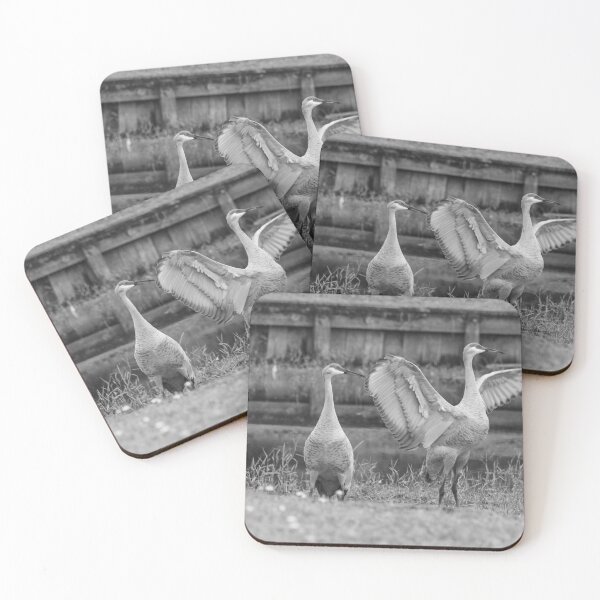 Item preview, The powerful motion of a sandhill crane’s wings is captured mid-movement in Tampa, Florida designed and sold by EyezWatchin.
