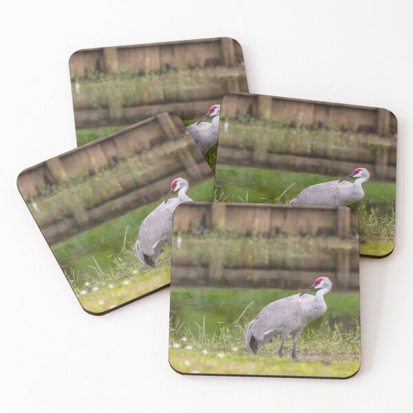 Item preview, A sandhill crane stands in a beautiful pond in Pasco County, Tampa Bay, Florida, designed and sold by EyezWatchin.