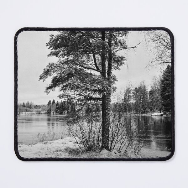 Item preview, Pine of winter. bw designed and sold by Jouko Lehto Photography.