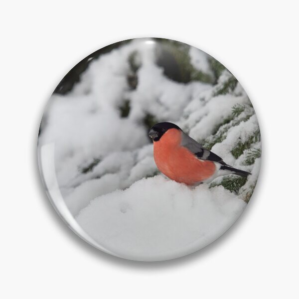 Item preview, Eurasian bullfinch winterscape in spruce designed and sold by Jouko Lehto Photography.