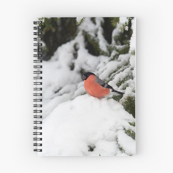 Item preview, Eurasian bullfinch winterscape in spruce designed and sold by Jouko Lehto Photography.