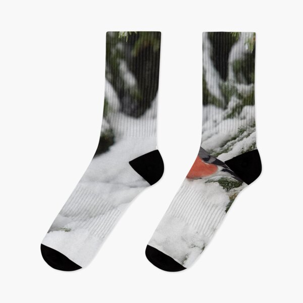 Item preview, Eurasian bullfinch winterscape in spruce designed and sold by Jouko Lehto Photography.