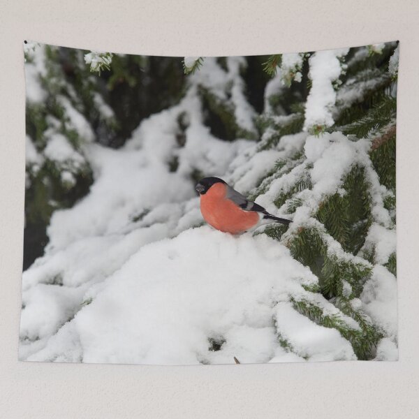 Item preview, Eurasian bullfinch winterscape in spruce designed and sold by Jouko Lehto Photography.