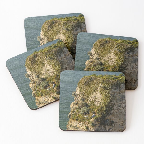 Item preview, The Rest of the Seagulls on the Cliff designed and sold by Léa Lefebvre Photography.