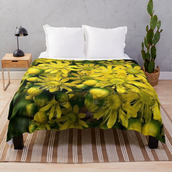 Item preview, Aeonium flowers in closeup designed and sold by Douglas E. Welch Design and Photography.