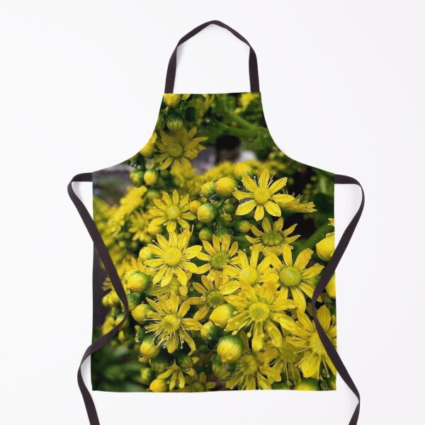 Item preview, Aeonium flowers in closeup designed and sold by Douglas E. Welch Design and Photography.