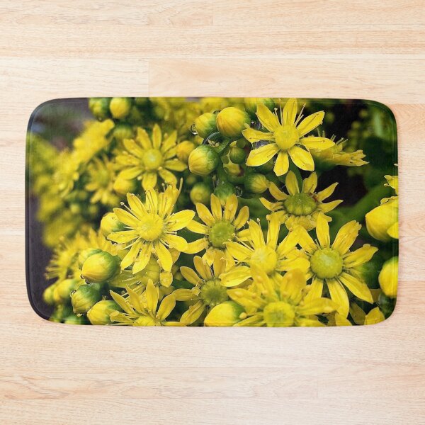 Item preview, Aeonium flowers in closeup designed and sold by Douglas E. Welch Design and Photography.