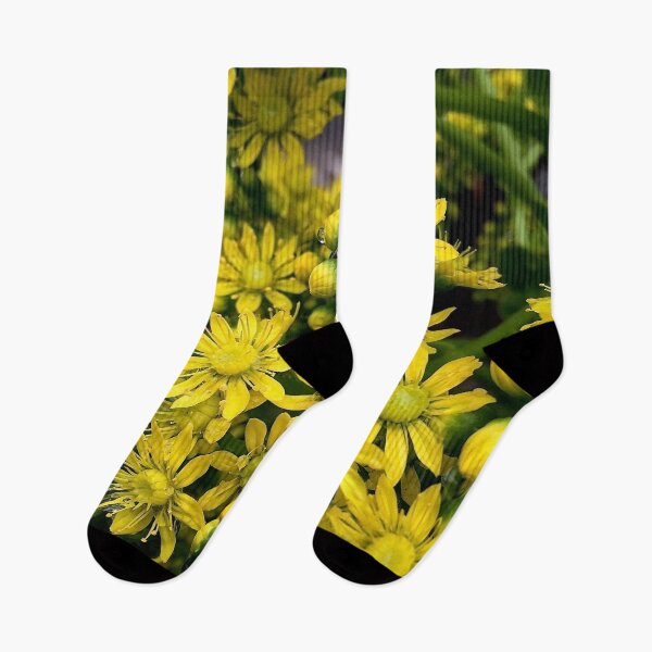 Item preview, Aeonium flowers in closeup designed and sold by Douglas E. Welch Design and Photography.