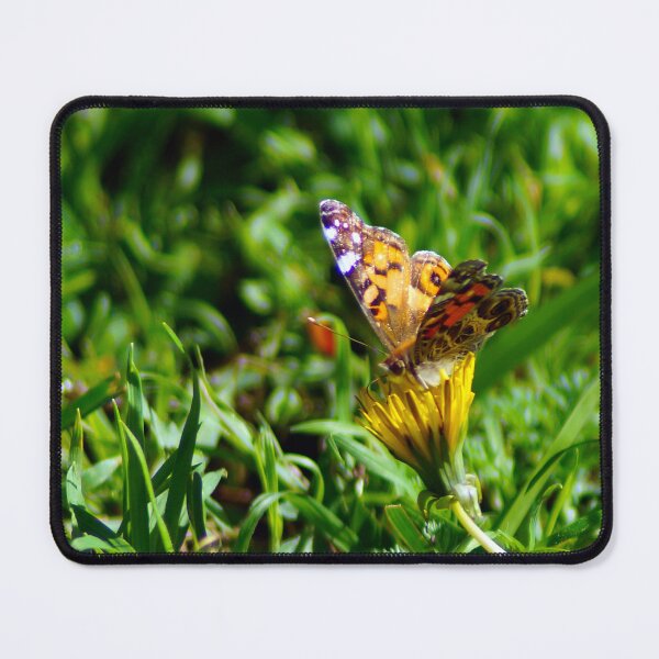 Item preview, Butterfly Out Gathering Pollen designed and sold by Carla Jensen.