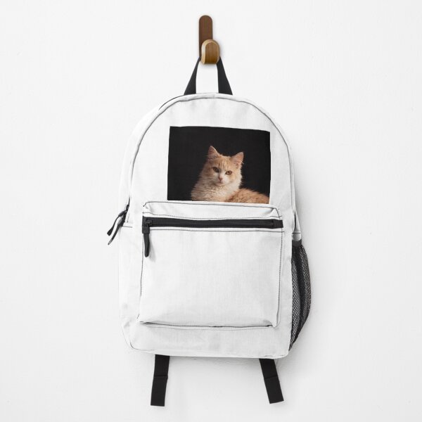 Item preview,  Elegant Rebel Cat – Regal Attitude, Soft Power Aesthetic designed and sold by LovelyCatGalaxy.