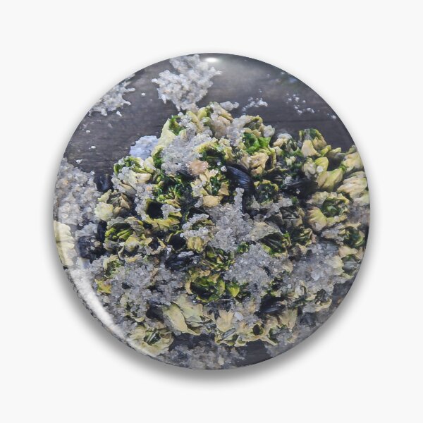 Item preview, Underwater Crustaceans in a Tide Pool designed and sold by heatherfriedman.