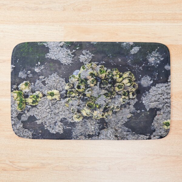 Item preview, Underwater Crustaceans in a Tide Pool designed and sold by heatherfriedman.