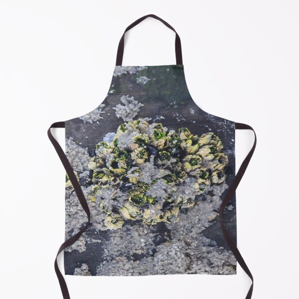 Item preview, Underwater Crustaceans in a Tide Pool designed and sold by heatherfriedman.