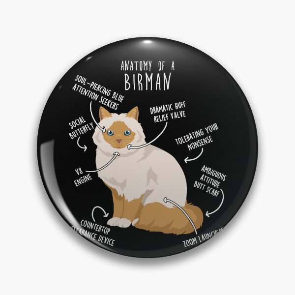 Item preview, Red Point Birman Cat Anatomy designed and sold by Clara Hollins.