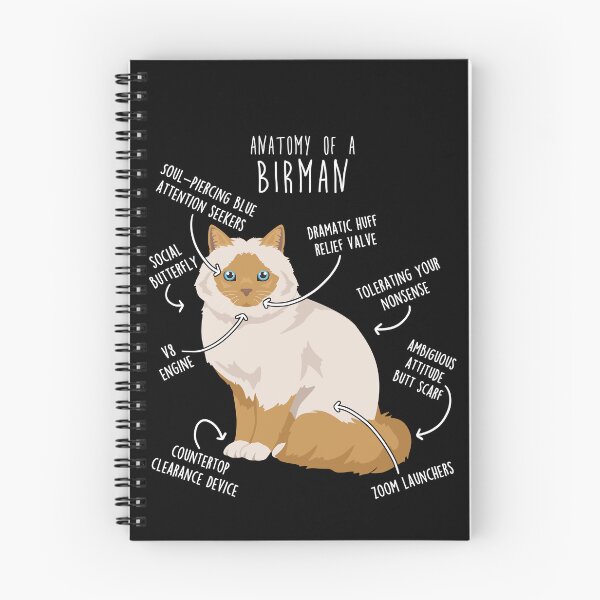 Item preview, Red Point Birman Cat Anatomy designed and sold by Clara Hollins.