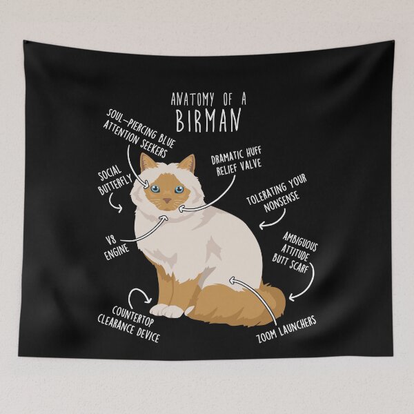 Item preview, Red Point Birman Cat Anatomy designed and sold by Clara Hollins.