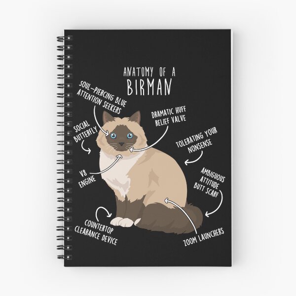 Item preview, Birman Cat Anatomy designed and sold by Clara Hollins.