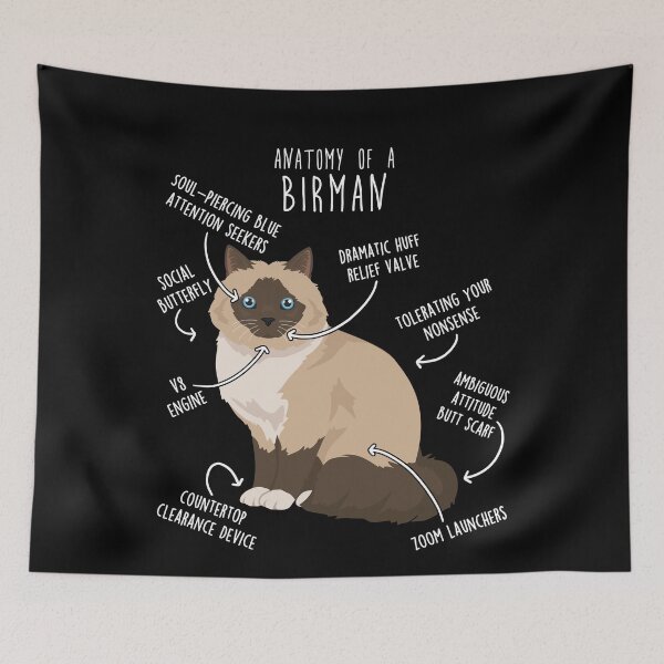 Item preview, Birman Cat Anatomy designed and sold by Clara Hollins.
