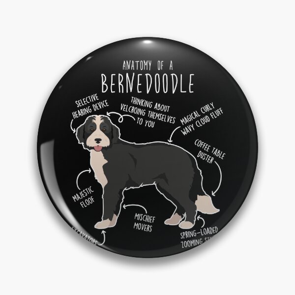 Item preview, Bernedoodle Black and White Dog Anatomy designed and sold by Clara Hollins.