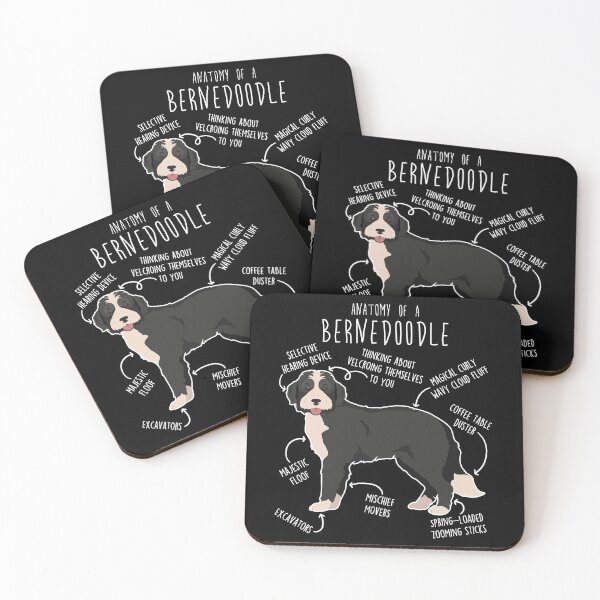 Item preview, Bernedoodle Black and White Dog Anatomy designed and sold by Clara Hollins.