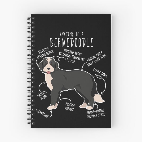 Item preview, Bernedoodle Black and White Dog Anatomy designed and sold by Clara Hollins.