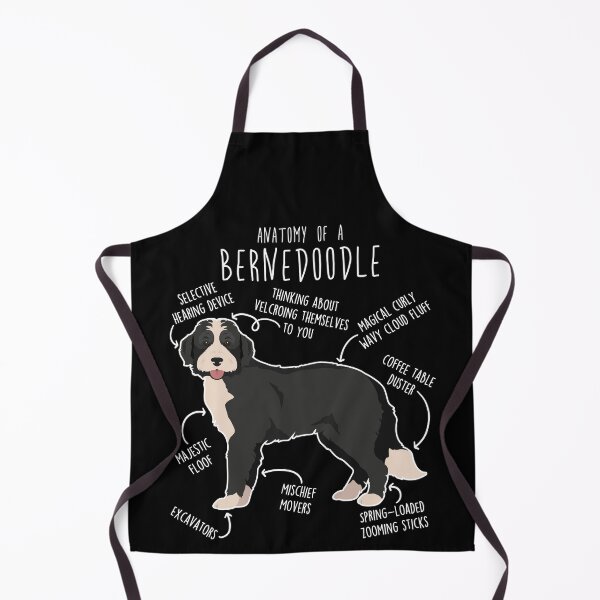 Item preview, Bernedoodle Black and White Dog Anatomy designed and sold by Clara Hollins.