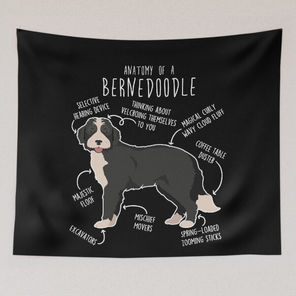 Item preview, Bernedoodle Black and White Dog Anatomy designed and sold by Clara Hollins.