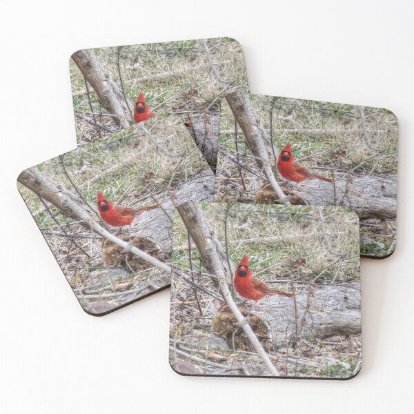 Item preview, Vibrant Cardinal  designed and sold by Frankie Cat Photography.