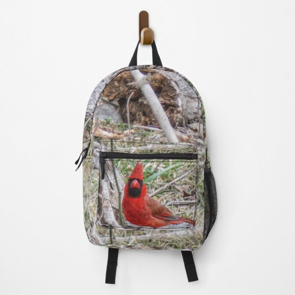 Item preview, Vibrant Cardinal designed and sold by Frankie Cat Photography.