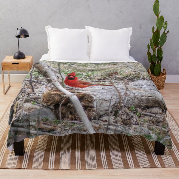 Item preview, Vibrant Cardinal  designed and sold by Frankie Cat Photography.