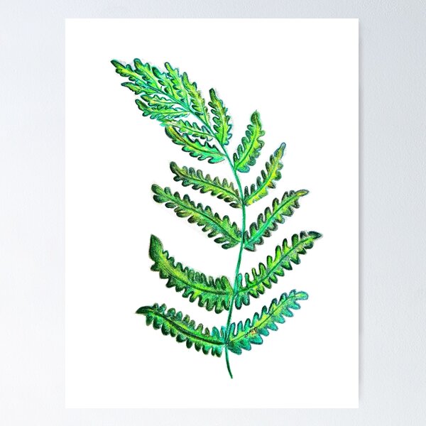 Item preview, Fern designed and sold by CanDo20.