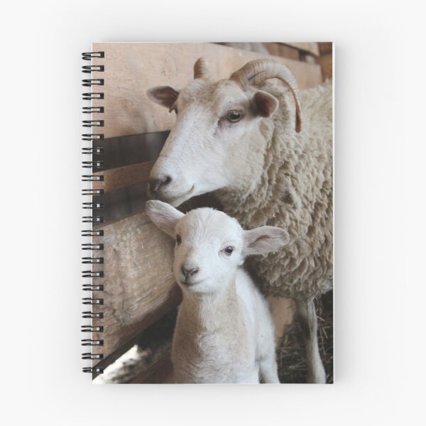 Item preview, ewe and her lamb designed and sold by cathygwen.