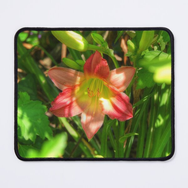 Item preview, Beautiful Lily designed and sold by Frankie Cat Photography.