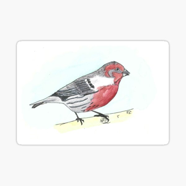 House Finch Sticker