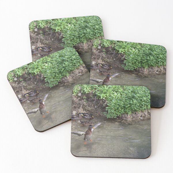Item preview, Standing Guard (Ducks Along an Italian Stream, Udine) designed and sold by The Wandering Lens.