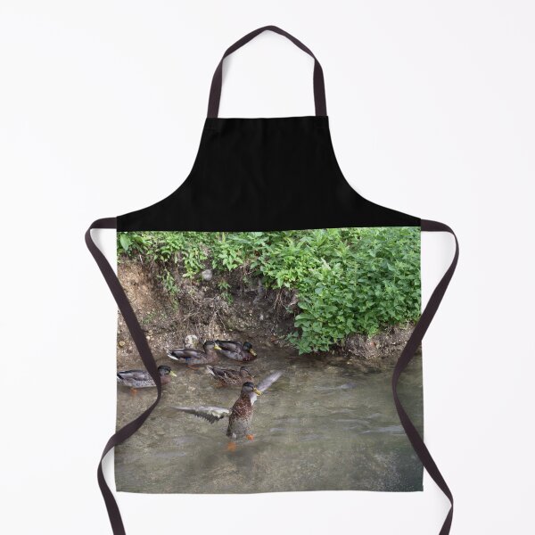 Item preview, Standing Guard (Ducks Along an Italian Stream, Udine) designed and sold by The Wandering Lens.